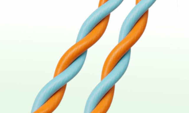 ねじろうくんBTでよじった太線の画像